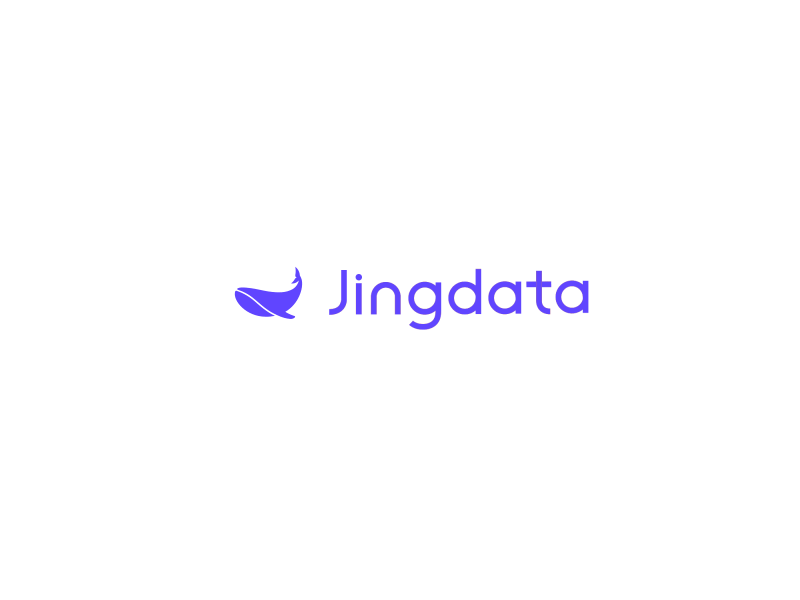 Jingdata company data logo