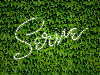 Serve / Faux Neon branding faux identity leaves lettering logo neon serve typography