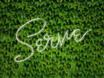 Serve / Faux Neon