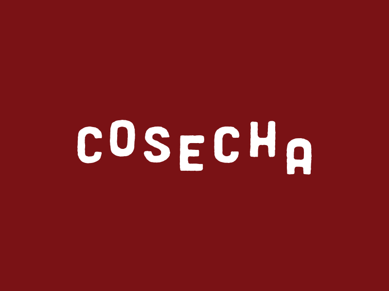 Cosecha Concept Type cosecha type mexican rough painted typography identity logo restaurant