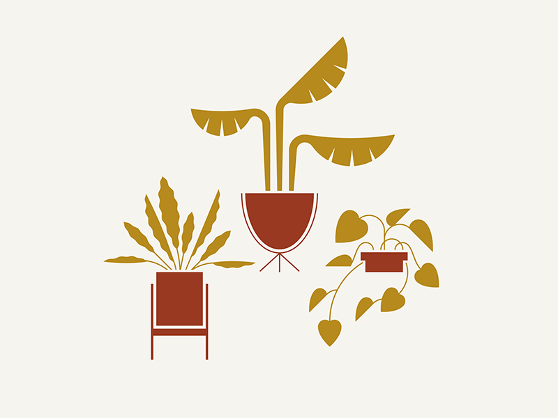 Rush Creek / Plant Vibes mid-century midcentury mid century modern mid century pot planter plant leaf leaves