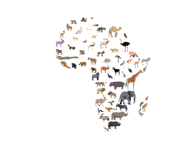 Wild Africa africa animals biodiversity birds illustration mammals map reptiles safari vector wildlife
