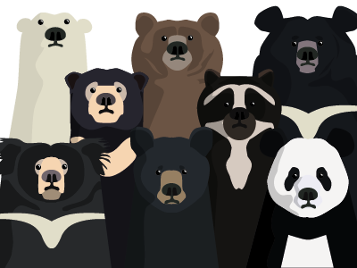 Bear family portrait animals bear grizzly illustration kids panda vector wildlife