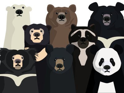 Bear family portrait