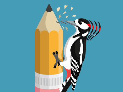 Nice and sharp animals birds illustration pencil vector art wildlife