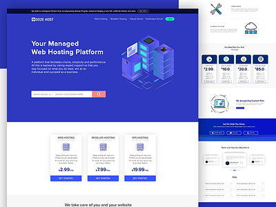 Web Hosting Landing Page