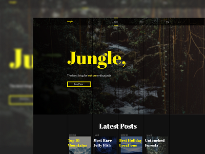 Jungle - Nature Blog Website Design blog design grid hero nature website