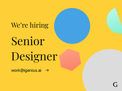 Senior Designer