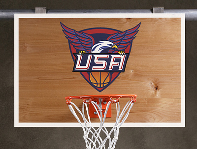 Team USA Logo Printed onto Basketball Hoop basketball branding illustration illustrator logo olympics sports team team usa usa vector vector illustration