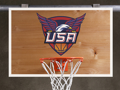 Team USA Logo Printed onto Basketball Hoop