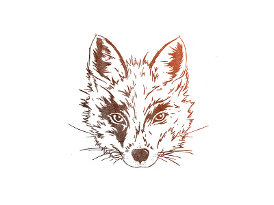 Fox Illustration drawing fox gradient illustration pen texture