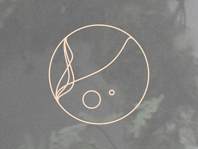 Kiisu Logo ambient electronic kiisu logo