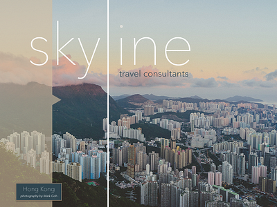 Skyline Travel landing page web design