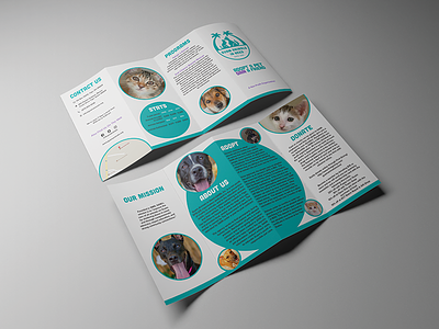 Guam Animals In Need Brochure brochure graphic design marketing