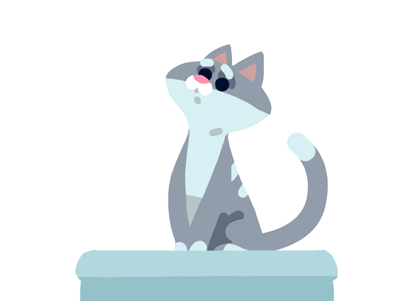 The Worried Cat animation app cat startup