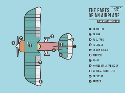 The parts of an airplane (Albatros D-XI) airplane avion data graphic illustration plane vector