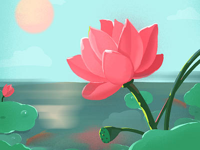 Illustration flower illustration lotus scenery summer