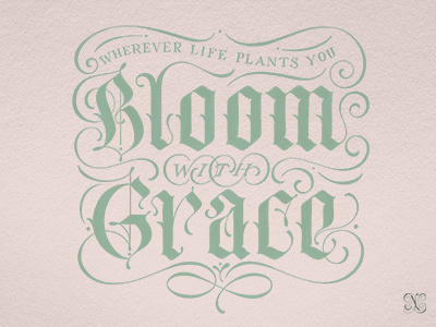 bloom handlettering illustration lettering quotes type typography