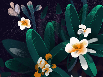 FLOWER illustration