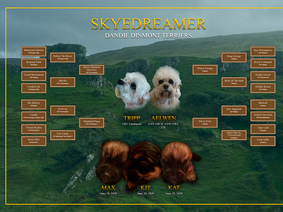 Dog Show Lineage Poster