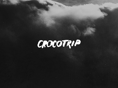 Crocotrip logo agency branding company design lettering logo typography