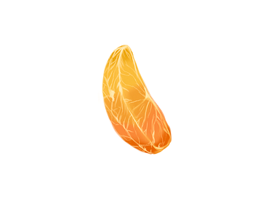 orange drawing food fruit illustration