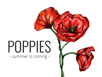 Poppies 2d 2d art adobe colors design digital art digital painting graphic design illustration photoshop typography