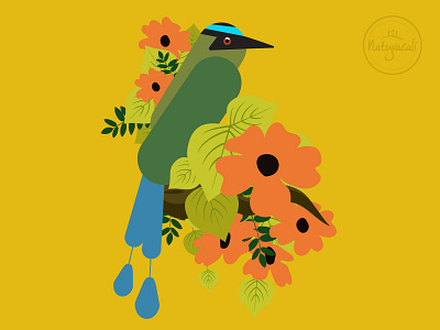 Barranquero bird cali colombia flowers icon illustration nature tropical