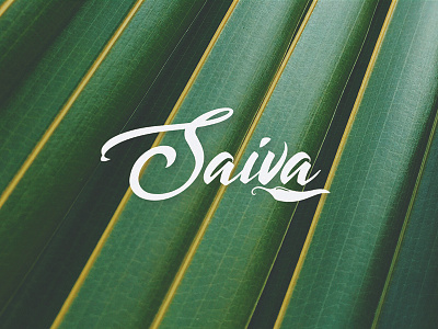 Branding | Saiva | Logo | Identity branding brandmark graphicsdesign logo mark vegan zennoz