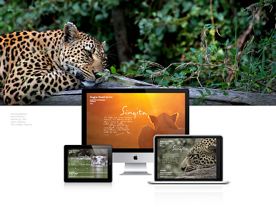 Singita Game Reserve branding graphic design nature conservation visual identity