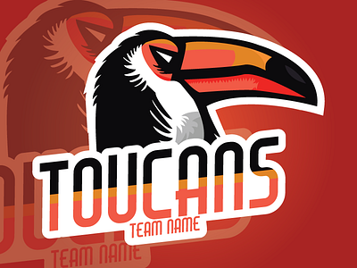 Toucan Sports logo