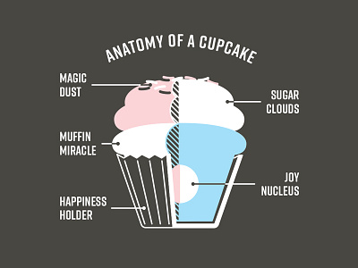 Cupcake Anatomy cupcake dissection sugar