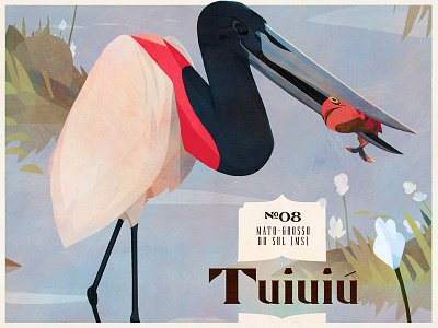 Birds — Jabiru bird birds brazil drawing illustration painting poster vintage