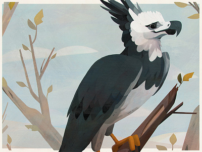 Birds — Harpy Eagle bird birds brazil drawing illustration painting poster vintage