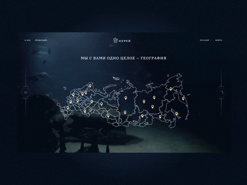 Nereus/concept clean fish fullscreen minimal sea site web webdesign