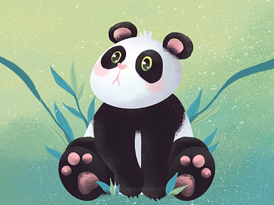 Panda illustration panda procreate