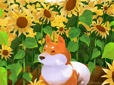 Summer Shiba illustration japanese procreate shibainu summer sunflower