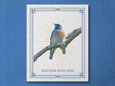 Blue Bird - Art Deco art deco bird bird watching birding blue bird card design graphic design trading card vintage