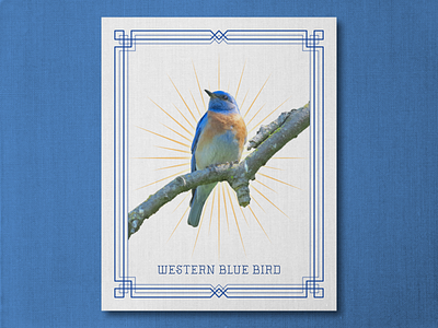 Blue Bird - Art Deco
