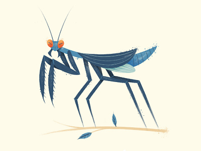 Praying Mantis bug drawn illustration insect mantis texture