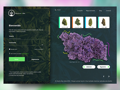 Intranet Cabanis -web brand cannabis intranet sativa ux uxlogo web