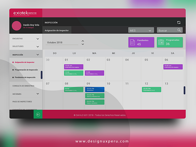 Calendario de Inspecciones app dashboard ui ux uxperu web