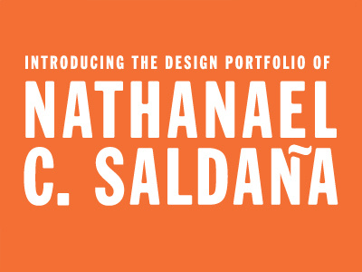 Portfolio Site Branding branding logo orange