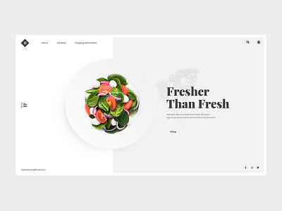 Food store clean design eco ecommerce food fruit ui vegetable web website website design