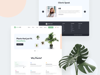 Planta - fill your workplace with plants ai app colors concept design environment experience inspiration interface landing minimalism page plants technology ui user ux web