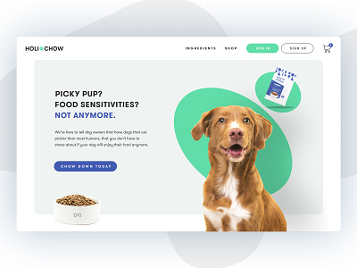 Holi Chow Website Design developement dog dog food minimal ui ux design web deisgn website
