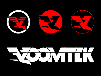 VoomTek Logo Variations bird eagle fast hawk logo motion voom