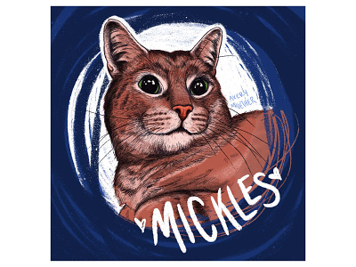 Mick the cat. cat cat art cute ipad portrait procreate sketch