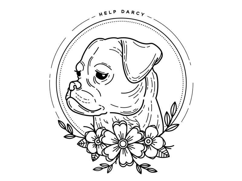 Darcy. by Avery Muether on Dribbble