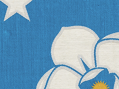 Magnolia Star: Mississippi State Flag